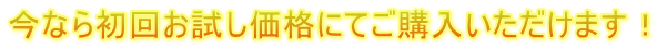 今なら初回お試し価格にてご購入いただけます！